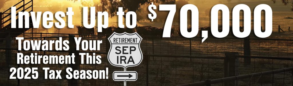 sep ira