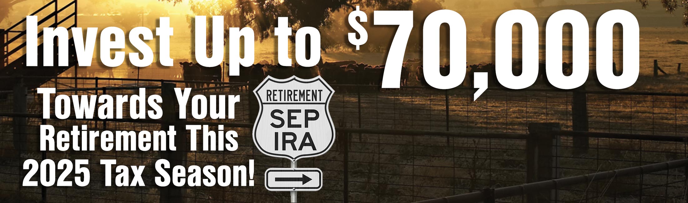 sep ira
